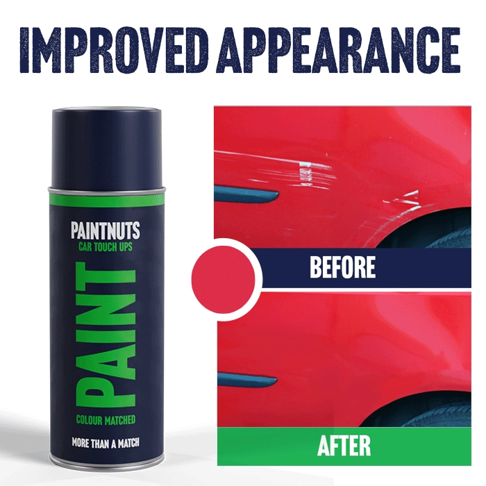 Touch Up Aerosol for Motorbikes